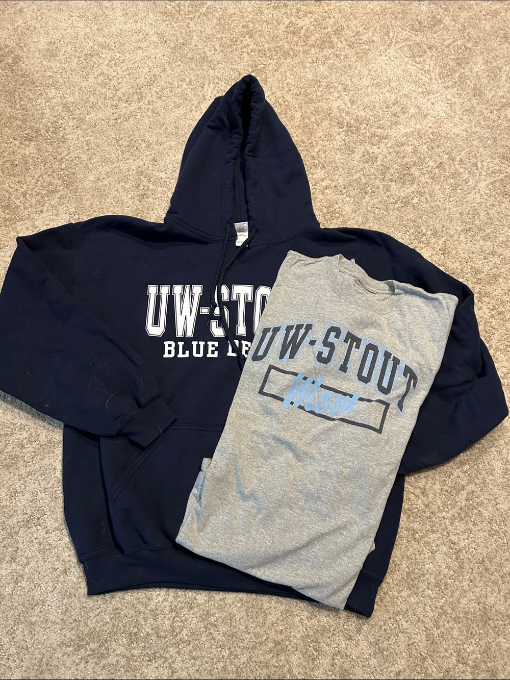 Navy UW Stout Hoodie with Gray Graphic Tee